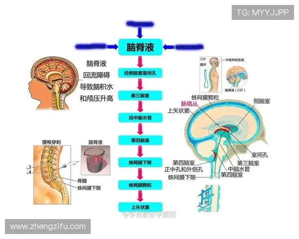一招搞懂“手部接触判定”：掌握这些规则让你比赛不再吃亏